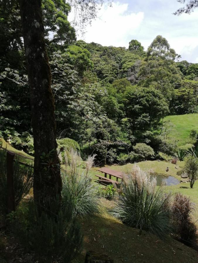 Monteverde Casa Mia, Near Main Attractions And Town! المظهر الخارجي الصورة