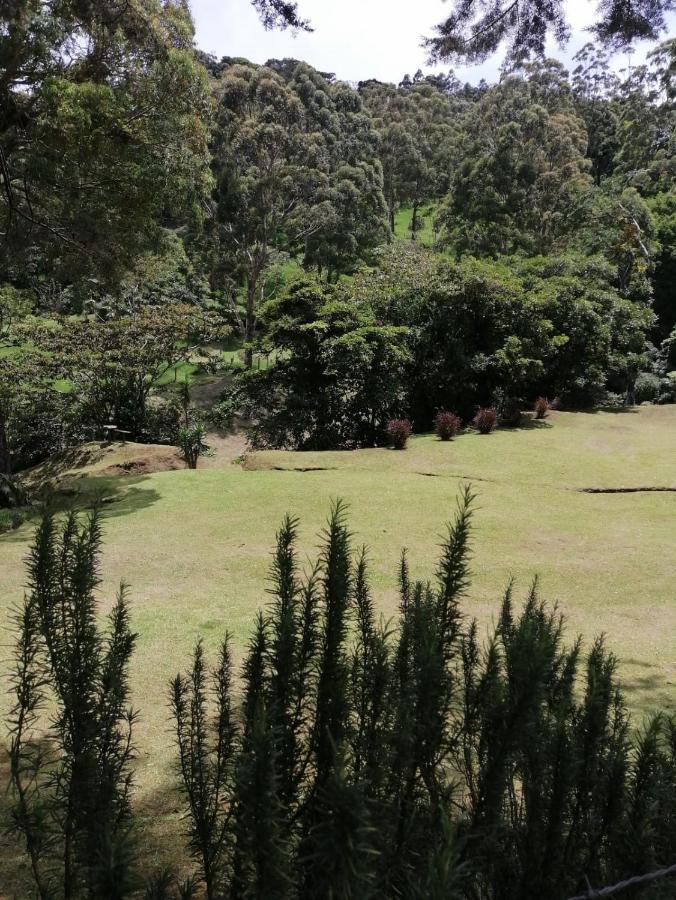 Monteverde Casa Mia, Near Main Attractions And Town! المظهر الخارجي الصورة