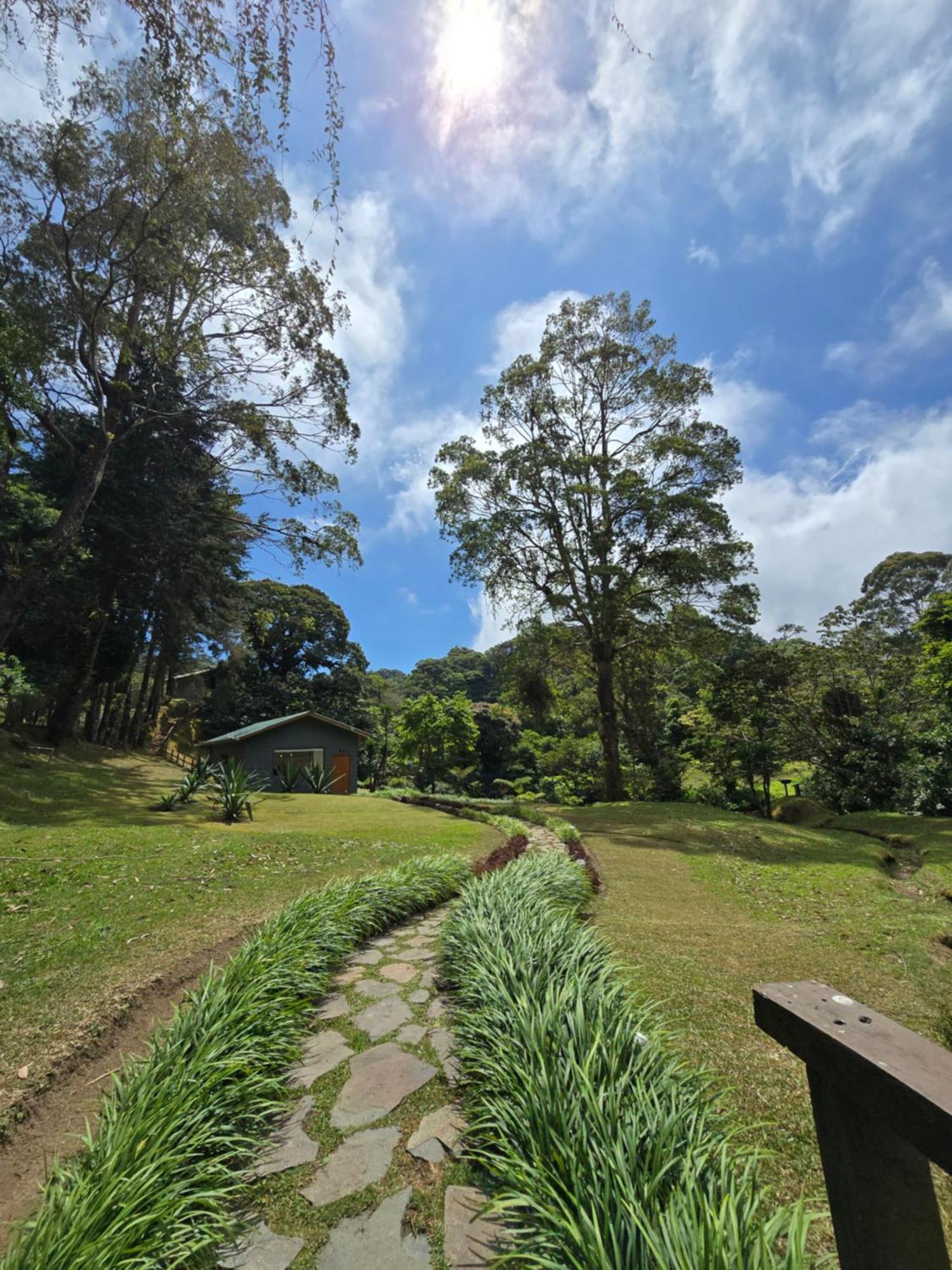 Monteverde Casa Mia, Near Main Attractions And Town! المظهر الخارجي الصورة