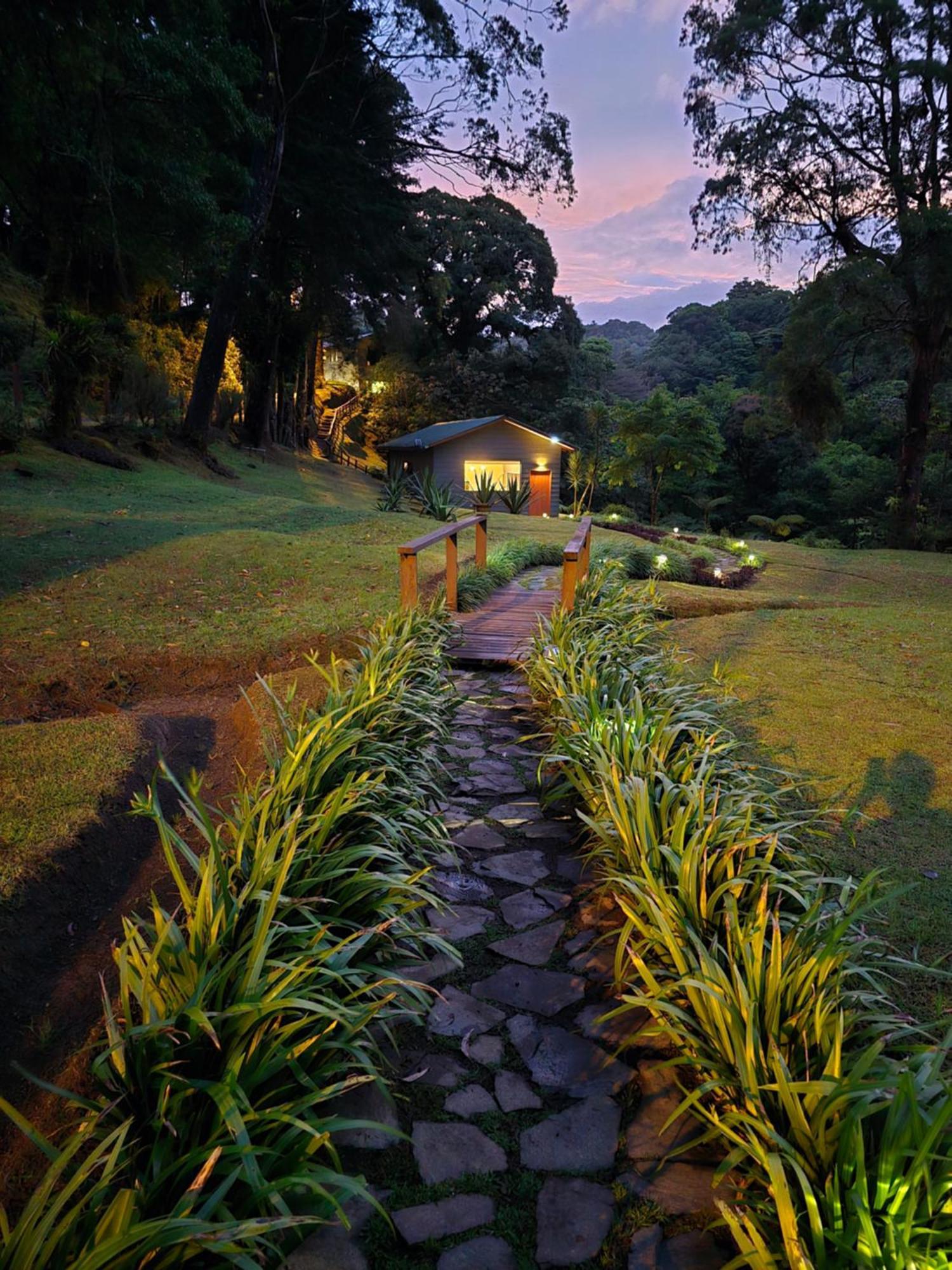 Monteverde Casa Mia, Near Main Attractions And Town! المظهر الخارجي الصورة