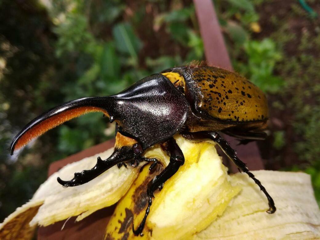 Monteverde Casa Mia, Near Main Attractions And Town! المظهر الخارجي الصورة
