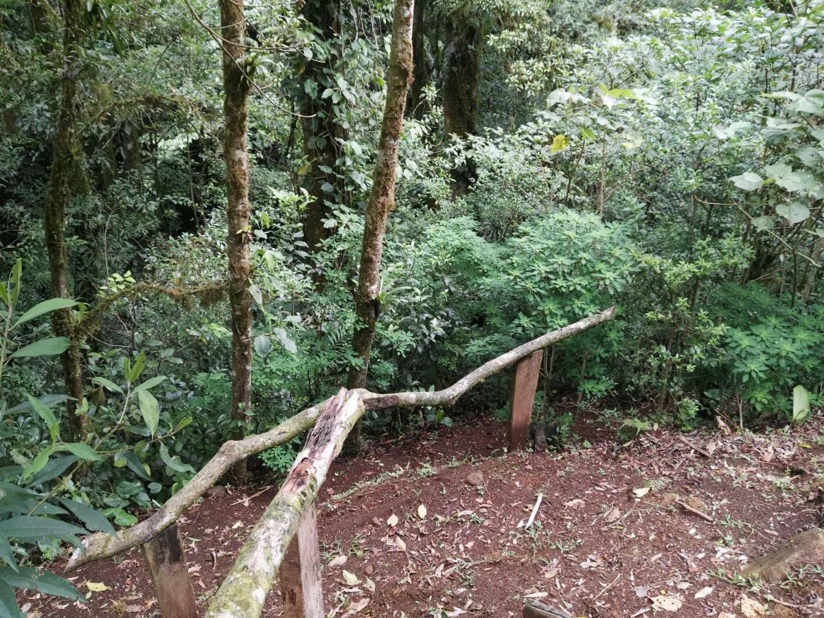 Monteverde Casa Mia, Near Main Attractions And Town! المظهر الخارجي الصورة